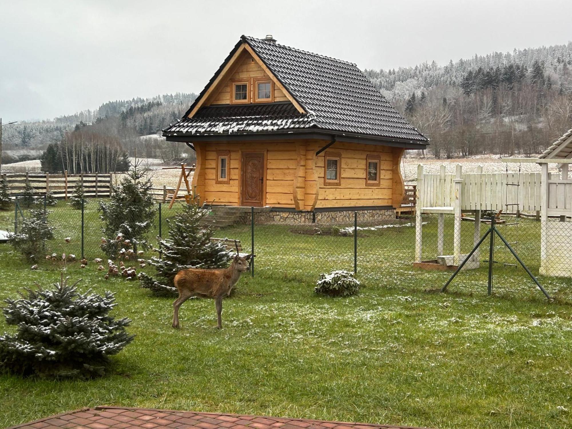 Sloneczna Chata Z Bali Ladek-Zdroj Exterior foto
